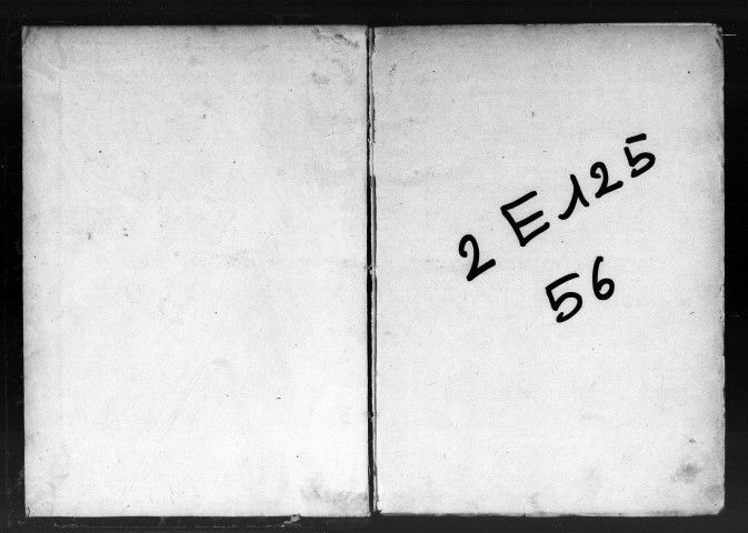 Naissances, Mariages, Décès (1879)