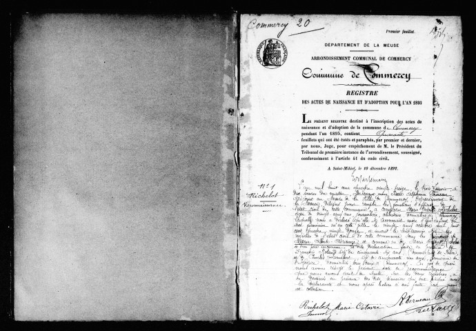 Naissances, Mariages, Décès (1893)