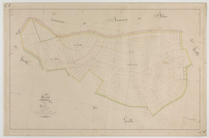 BOVEE - Section C des Bois feuille 04