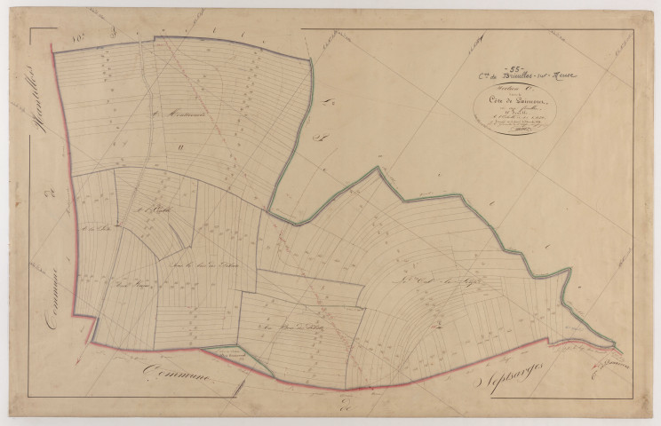 BRIEULLES-SUR-MEUSE - Section C - la Côte de Laimont - feuille 11