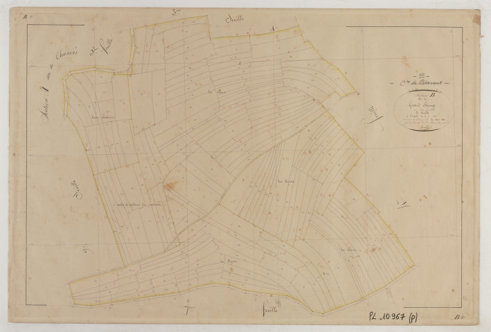BIENCOURT - Section B du grand Champ feuille 08