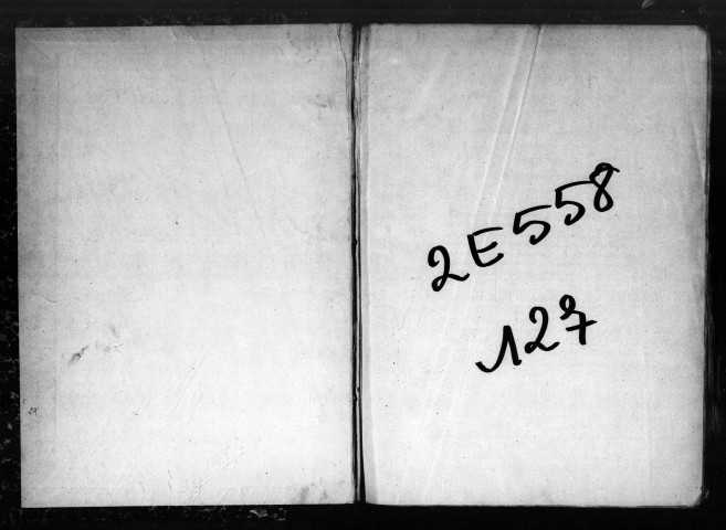 Mariages (1878-1878)