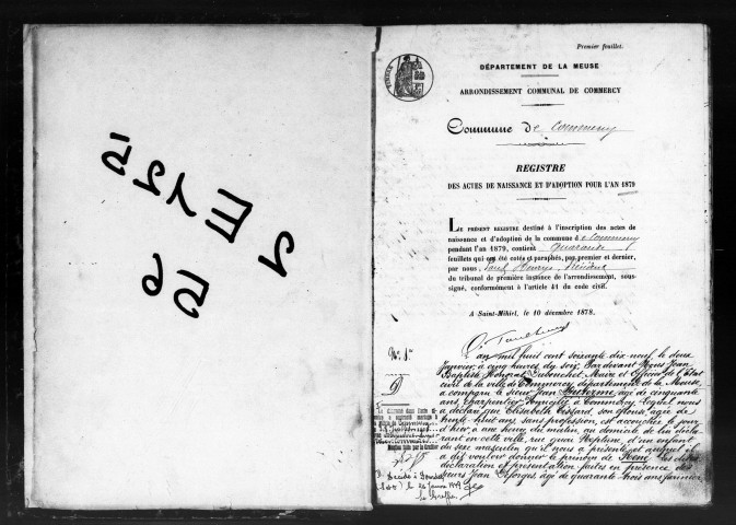 Naissances, Mariages, Décès (1879)