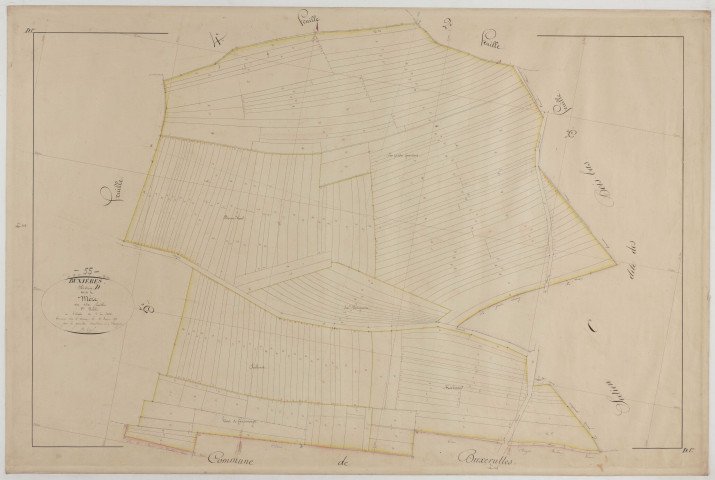 BUXIERES - Section D de la Méze feuille 01