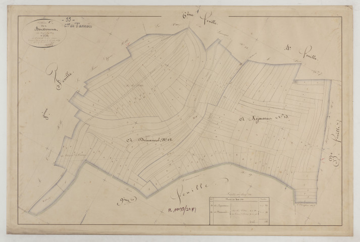 TANNOIS - Section C de Boussomma feuille 07