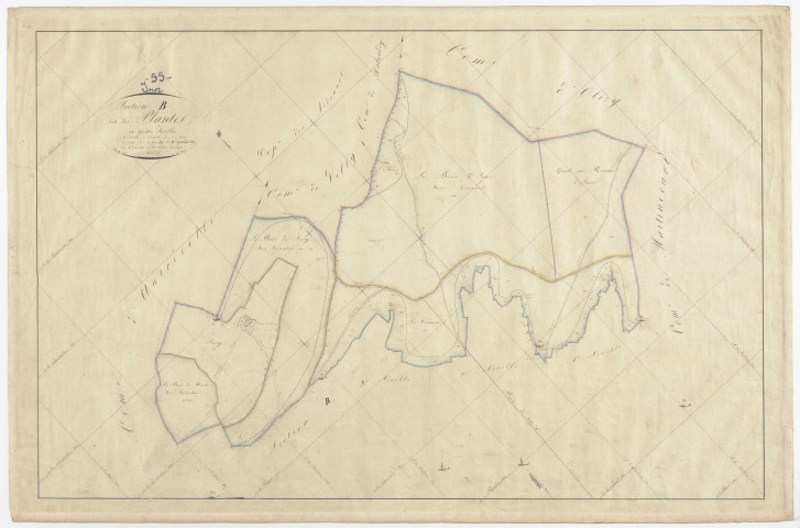 INOR - Section B - des Plantes - feuille 04