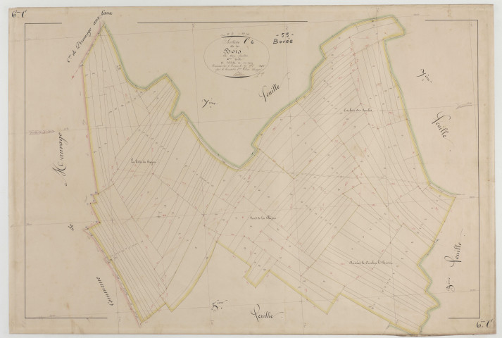 BOVEE - Section C des Bois feuille 06