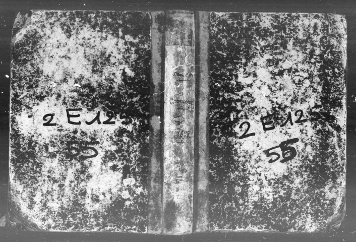 Naissances, Mariages, Décès (1878)