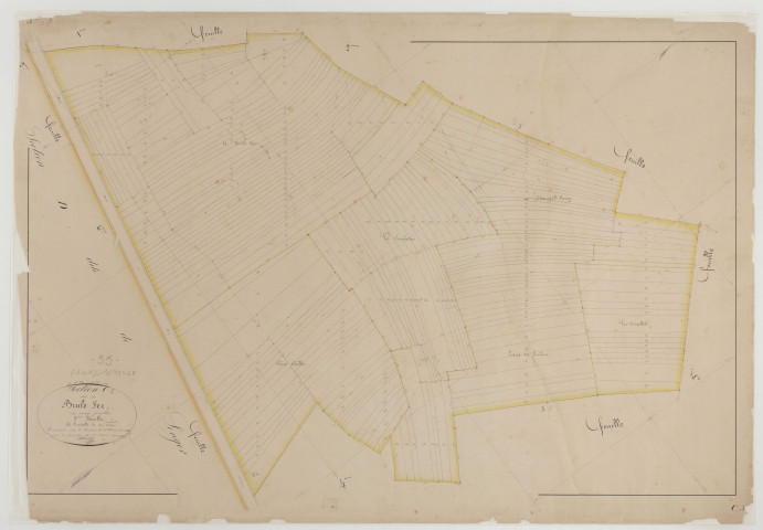 PAGNY-SUR-MEUSE - Section C de Brûle-Fer feuille 05