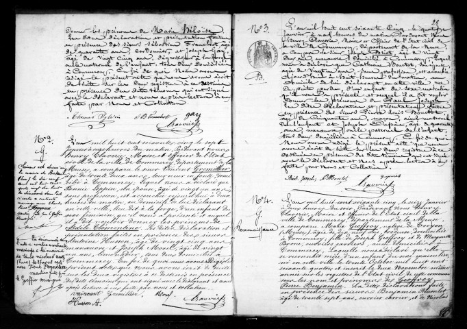 Naissances, Mariages, Décès (1865)