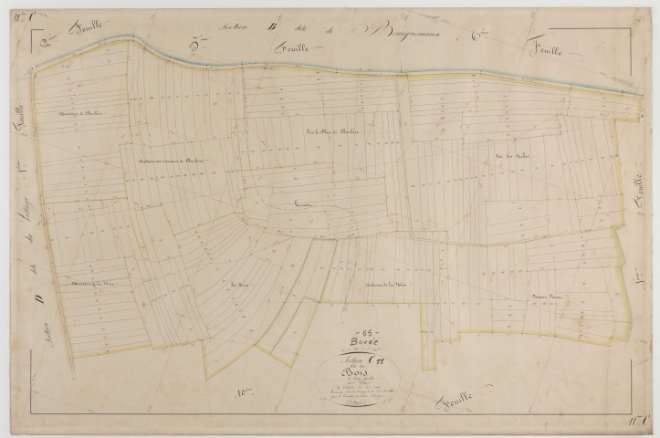 BOVEE - Section C des Bois feuille 11